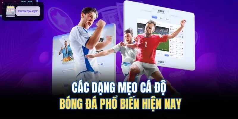 Những loại mẹo cá cược bóng đá phổ biến hiện nay