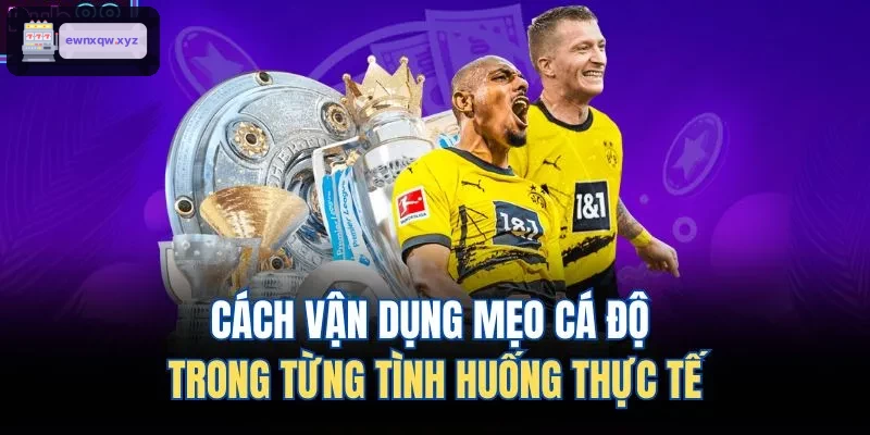 Hướng dẫn áp dụng mẹo cá cược trong các tình huống thực tế