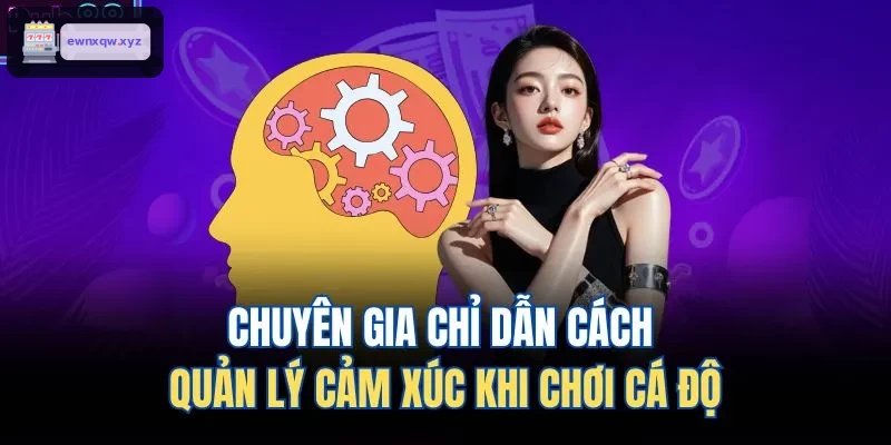 Chuyên gia hướng dẫn kiểm soát cảm xúc khi cá cược