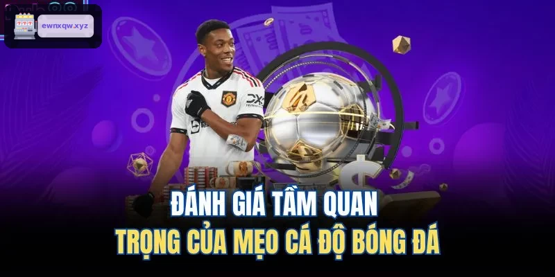Phân tích tầm quan trọng của mẹo cá cược bóng đá