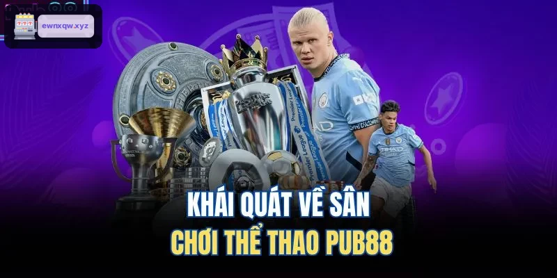 Khái quát về sân chơi thể thao DEBET